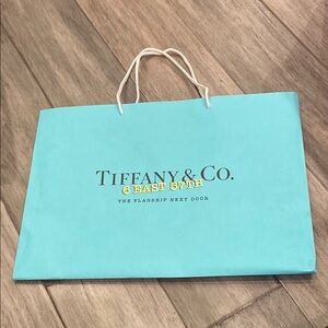 2020 Tiffany & Co. 6 East 57th The Flagship Next Door paper bag w cord handles